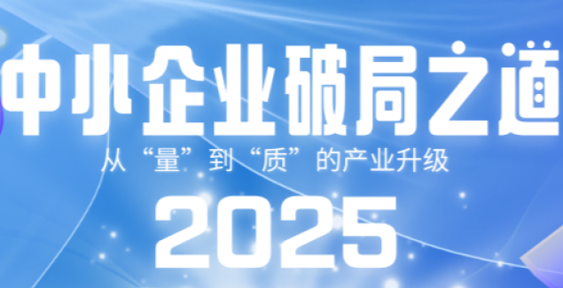 从“量”到“质”的产业升级：2025中小企业破局之道
